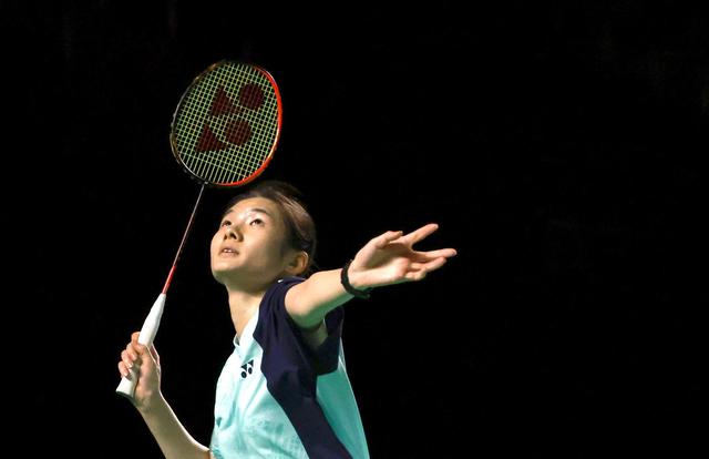 哈兰德等年 哈兰德等年